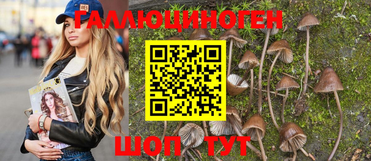 Галлюциногенные грибы GOLDEN TEACHER  Галлюциногенные грибы Psilocybe  Вход с VPN  Клин 